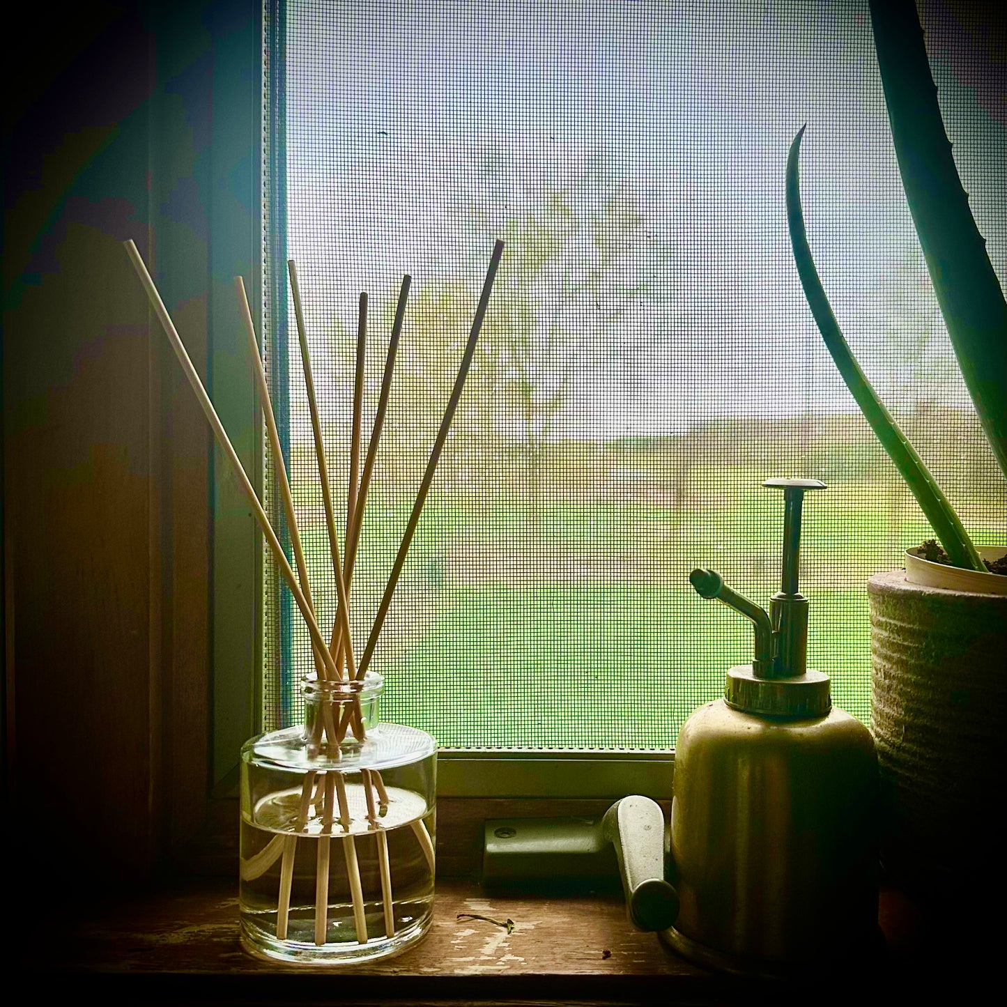 Reed diffuser