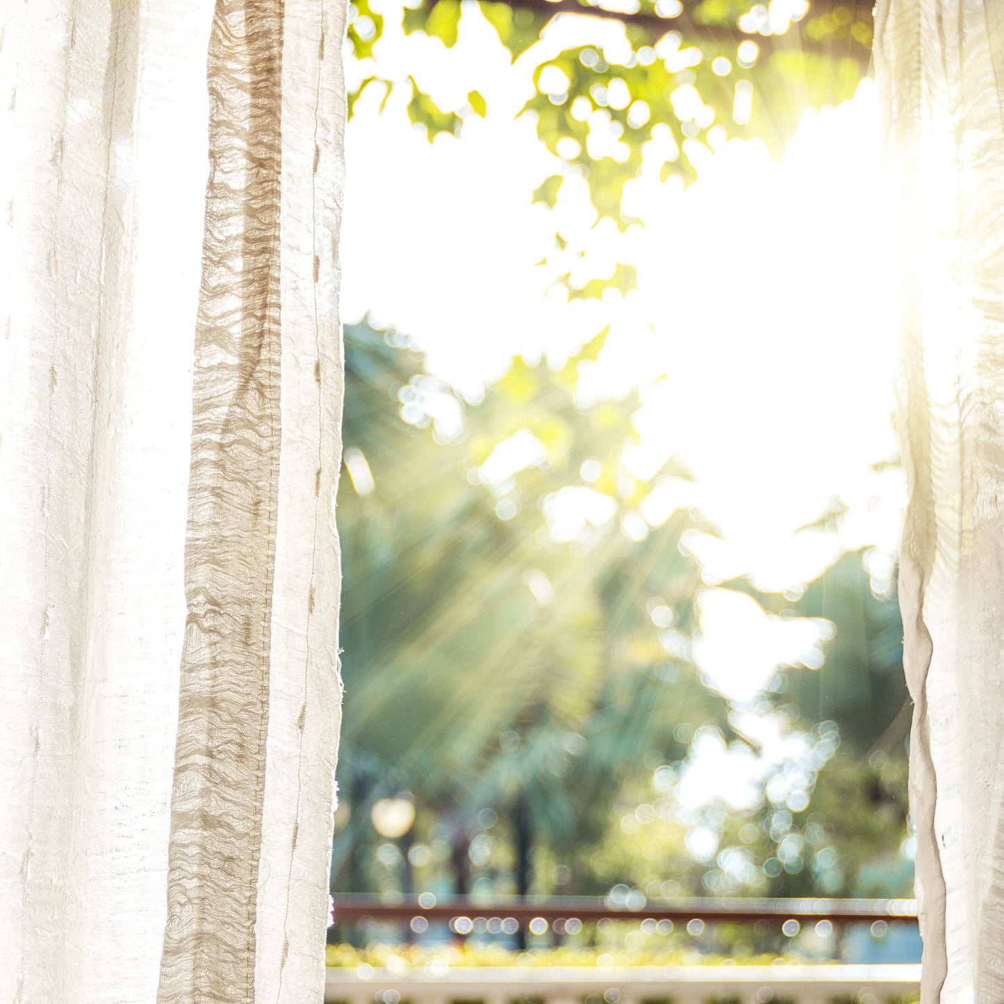 Morning, Sunshine