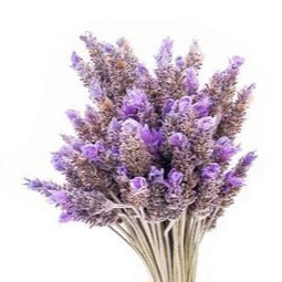 Lavender Swirl