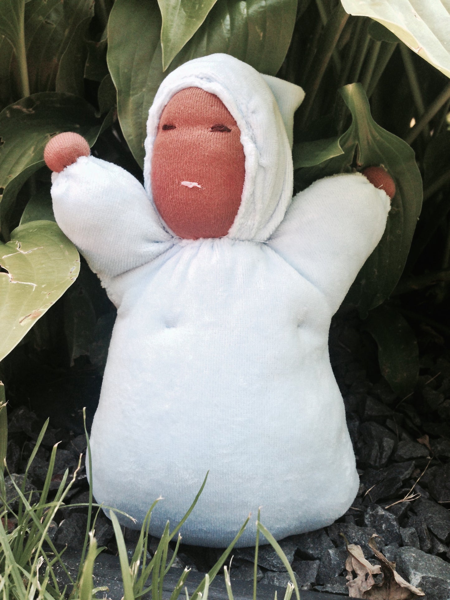Baby Blue Bunting