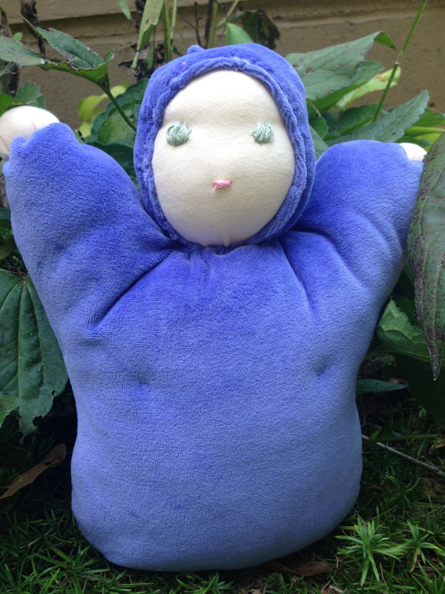 Iris Purple Bunting Baby