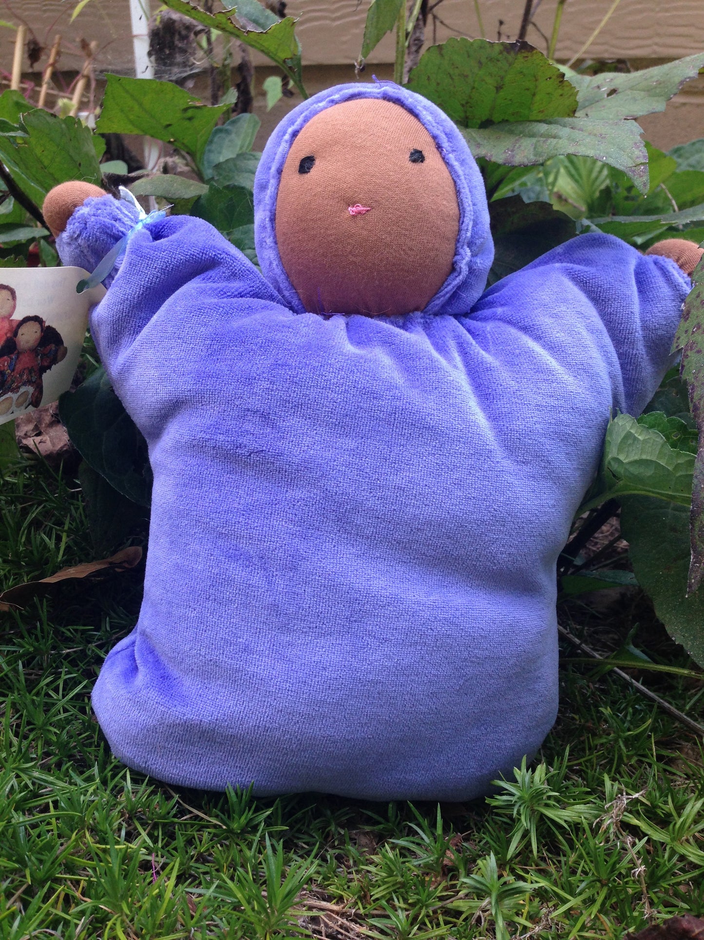Iris Purple Bunting Baby