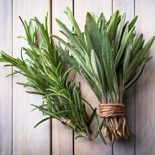 Rosemary Sage